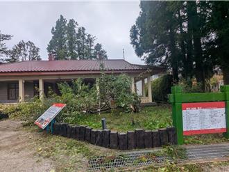 福壽山農場「蘋果王」斷了！不敵楊柳強風走入歷史