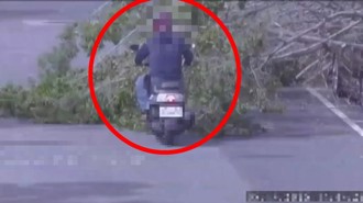 強風來襲路樹突倒塌　三重騎士「正面迎擊」遭砸受傷