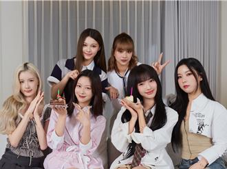 幻藍小熊人氣燒到兒童圈打造幼教神曲！采甄18歲生日落淚想考駕照