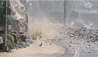 中橫又斷了！楊柳環流帶雨勢釀落石 台8線預計14日早搶通