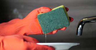 科技海綿藏危機 研究：每月恐釋出數兆塑膠微粒