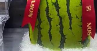 惊见方形西瓜「1个1.3万」　店员曝内幕：买来当作装饰