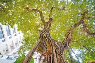 禧榕軒大飯店 取得碳足跡標籤