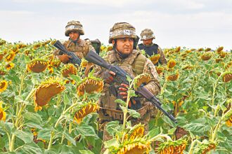 川普稱雙普會摸底 必談俄烏領土交換