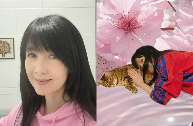 周慧敏近日送走愛貓豬皮。（圖／翻攝自vivianchowwaiman IG）