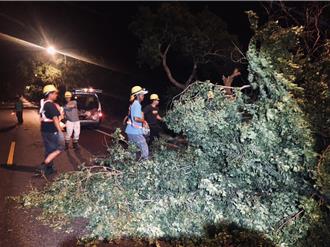 楊柳肆虐金門傳22件災情 颱風警報解除 災變中心今午撤除