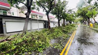 楊柳颱風釀1失蹤143傷 近2.2萬戶停電 預計今晚修復
