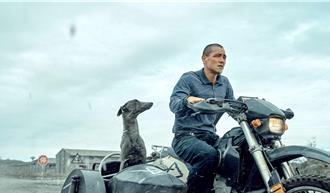 桃園電影節搜齊兩代男神　彭于晏加王一博《進行曲》男團聯動