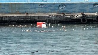 杨柳直扑台东 富冈渔港渔具落海漂港区 渔民急打捞