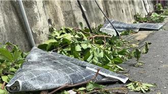 楊柳吹毀光電板 亂飛砸破民宅房頂害漏水 阿嬤嚇壞：不敢睡