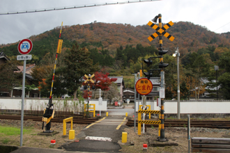台女日神社平交道拍照遭撞不治　疑誤判列車方向　