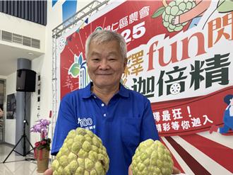 不敵氣候、颱風肆虐 歸仁釋迦產量大減 價格微漲2成