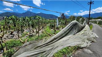 合歡山颳14級強風 楊柳颱風重創南投 3鄉鎮農損慘重