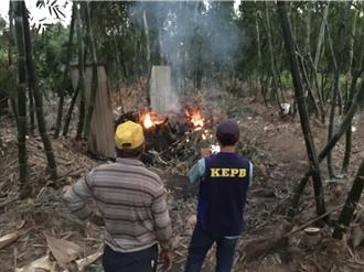 高雄AI系統打擊露天燃燒 陳情大減20.2％、再犯率腰斬