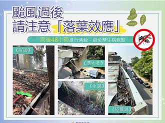 高雄大雨後類鼻疽升溫釀3死！50歲以上慢性病患成高風險族群