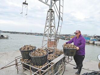 颱風攪局菜價續飆 青蔥破300元