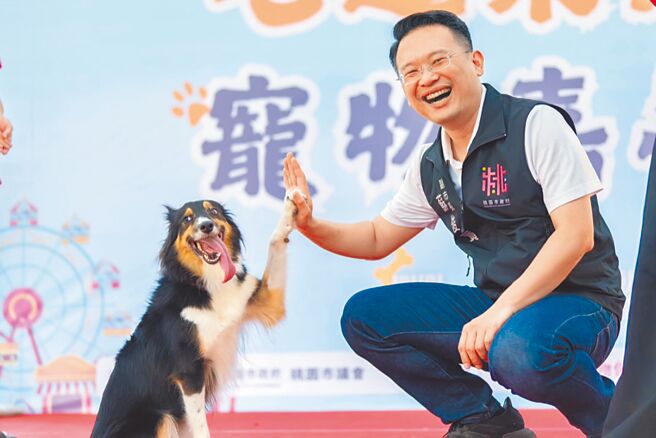 桃園市動保處首度跨局合作，推出寵物療癒與動物保護教育計畫，結合衛生、教育、社會、警政等單位，推動寵物友善與輔導舒壓活動，透過與動物互動促進心理健康、舒緩壓力。（桃園市動保處提供／姜霏桃園傳真）