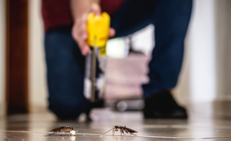 15樓有蟑螂 她崩潰「從哪來的」 達人教1招讓牠翻肚