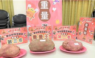 金山甘藷王競賽成績揭曉 3大冠軍齊亮相邀民眾共赴甘藷季