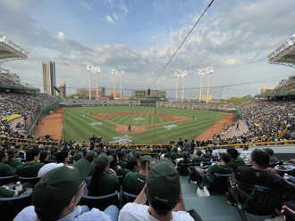 中職》傳澄清湖「免場租」遭點名！台鋼雄鷹回應：按規定付費