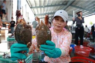 东海「小开渔」启动   陆海产品迎来丰收季  购销两旺