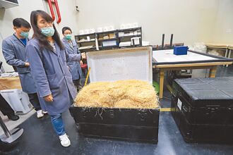 故宮第4次大盤點 人力恐難負荷