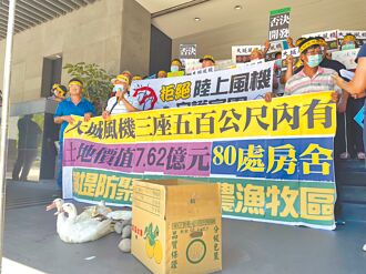 彰化大城風機 環委認定不應開發