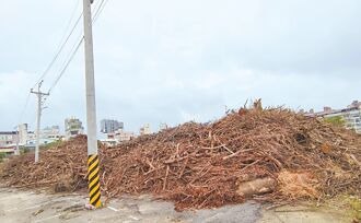 嘉市斥千萬 去化4千噸殘枝