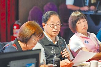 龍潭設電塔遇反彈 張善政上火線溝通