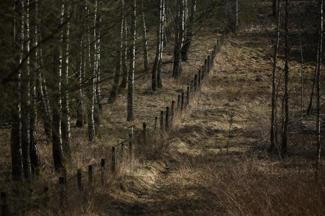 立陶宛與加里寧格勒、白俄領土相連，邊境安全至關重要。圖為立陶宛與白俄邊境。（達志影像／路透社資料照片）