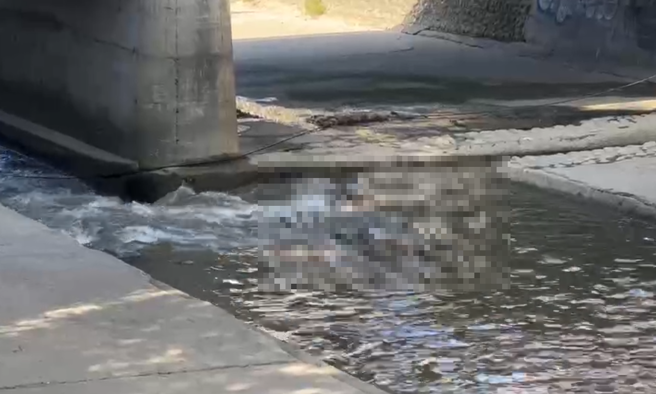 72岁蔡姓老翁失踪3天，今日被民眾发现在水面载浮载沉。（翻摄中天新闻）