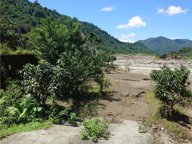 芒果農感嘆災害釀損失慘重，曾智勇說會與區公所全力協助農民向農業部協助進行災害補助。（任義宇攝）