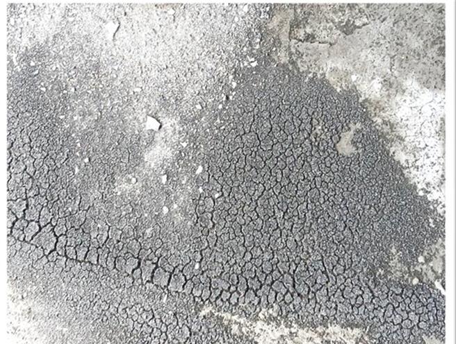 桃园新屋区永安里因邻近工业区，造成落灰、空污严重，里长郭先彰忧若未改善将来恐成珍珠海岸的「灰色地带」。（图／郭先彰）