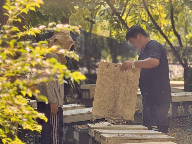 2025年拿下全國評鑑蜂蜜獎、高市龍眼蜂蜜評鑑頭等獎的崗發蜂蜜業者王祈發表示，得獎很開心，但背後也付出不少辛酸血淚。（崗發蜂蜜提供／紀爰高雄傳真）