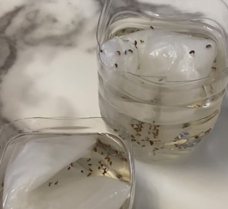 家裡好多小飛蟲 他用1招「一個下午全滅」：比電蚊拍有效