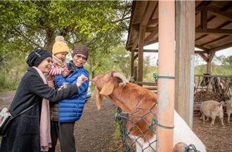 六福村邀銀髮族回憶童年 兩人同行只要700元