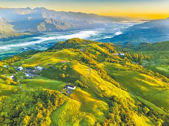 花蓮富里馬拉松 9月14日跑進金針花海