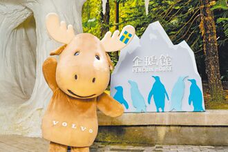 VOLVO擴大守護企鵝辦互動展