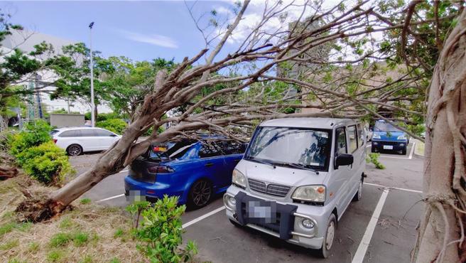 苗栗县政府拟具「苗栗县灾害救助金核发标准第三条修正草案」，修正重点为厘清灾害发生后行政单位及民眾权责，并新增灾害救助申请时效。（示意图/本报资料照）