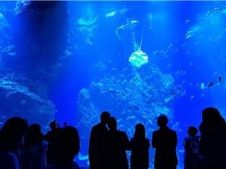 台中海洋館票價太貴？觀旅局長：絕對讓遊客「值回票價」
