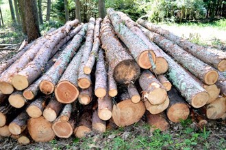 欧盟新规上路！永续提供商推「新解方」助企业