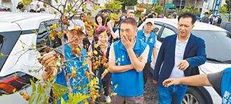 紅棗清園費 苗縣府盼中央補助