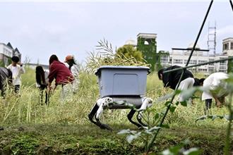2020年来首次  陆传已下订澳洲油菜籽