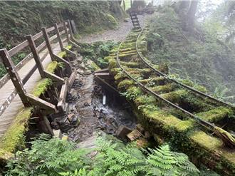 宜蘭太平山「玩聲音聽世界」 9／21用森林療癒城市的疲憊