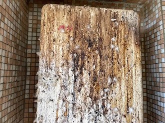 彰化大樓住戶熱水器起火！ 起火原因竟是「鳥屎」引起