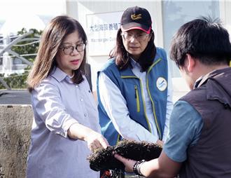 國海院攜手水試所 七股藻場打造固碳新生機