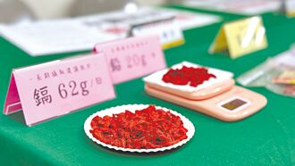 市售枸杞抽驗 重金屬全超標