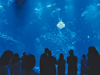 台中海洋館：有信心值回票價