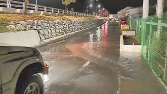 台東 排水遇灌溉放水 豐樂里成澤國