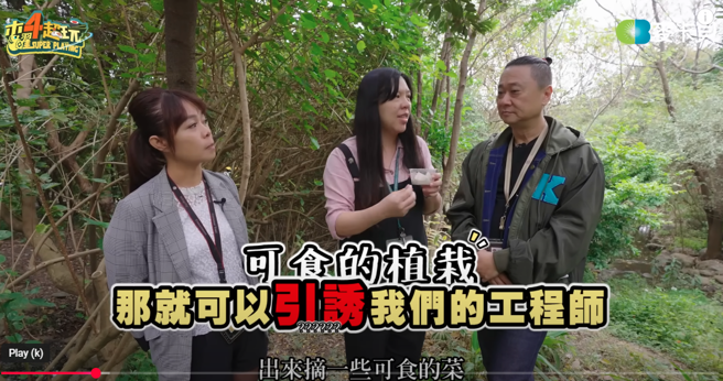 台積電生態園區有種植菜，希望能吸引員工出來採。(圖/YT@木曜4超玩)